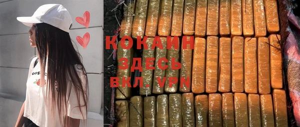 твердый Алзамай